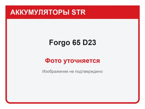 Forgo 65 А·ч — фото уточняется
