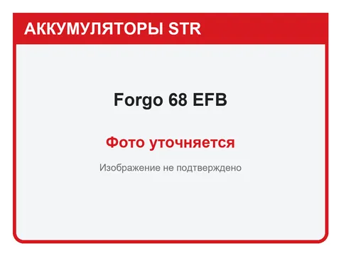 Forgo 68 А·ч — фото уточняется