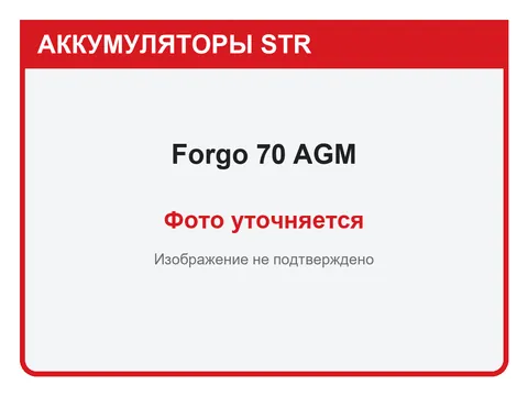 Forgo 70 А·ч — фото уточняется
