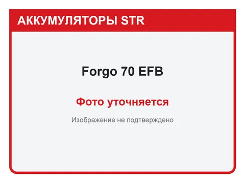 Forgo 70 А·ч — фото уточняется